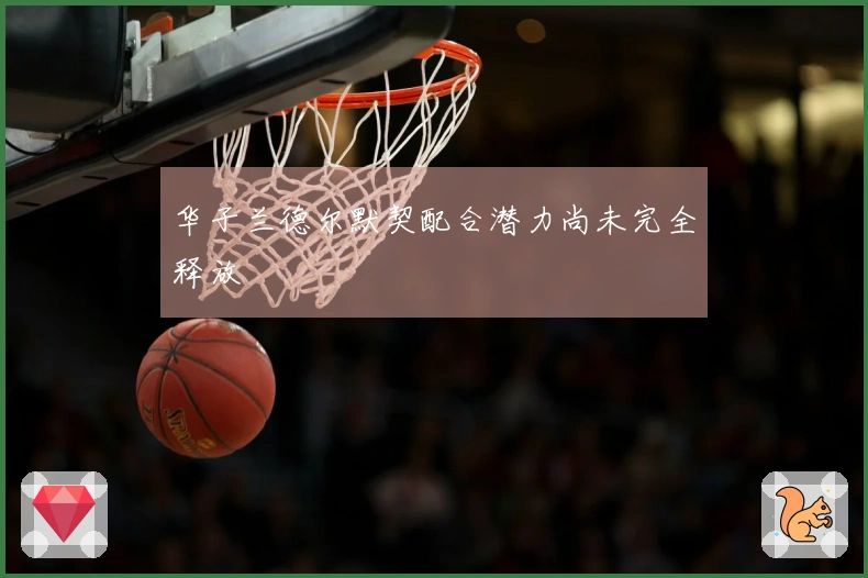 华子兰德尔默契配合潜力尚未完全释放